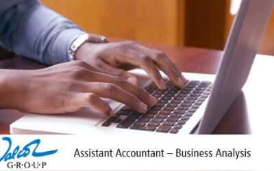 Assistant Accountant – Business Analysis
