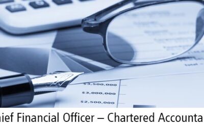 Chief Financial Officer – Chartered Accountant – Harare based